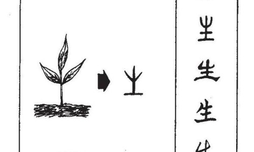 鸭汁的功效和作用网 | 鸭汁做法大全菜谱,鸭汁的害处和好处